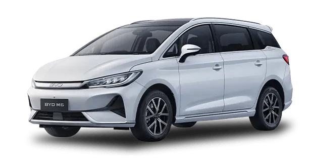 BYD BYD M6